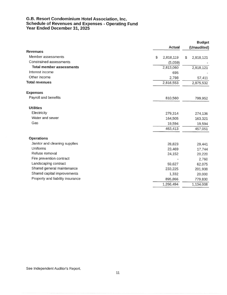 03.02.2026 Affidavit of Mailing Audit Notice-15